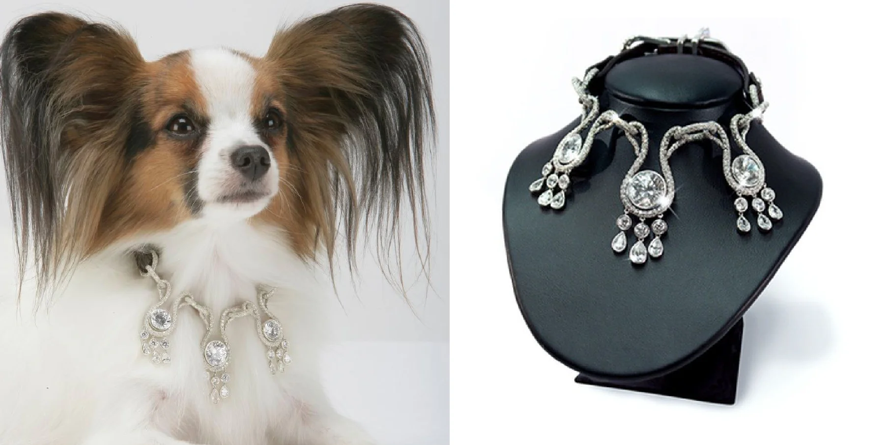 7 Most Expensive and Luxurious Pet Accessories That Will Blow Your Mind