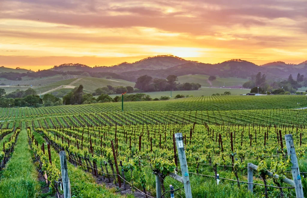 Napa Valley