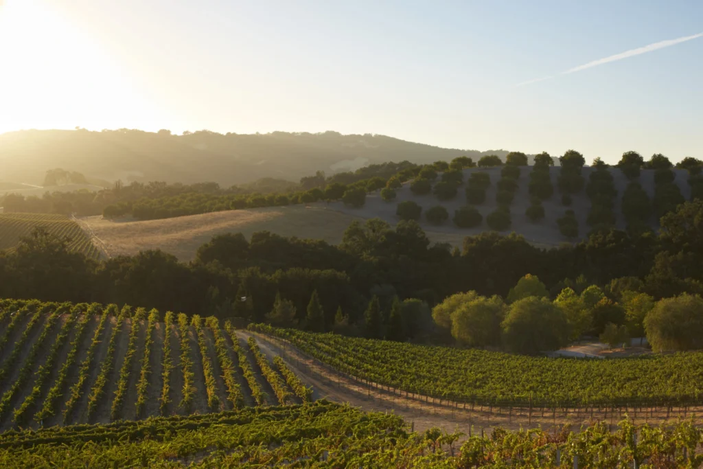 Paso Robles, California
